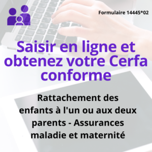 Saisir en ligne et obtenez votre Cerfa conforme